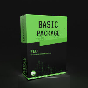 Basic Web Design Package